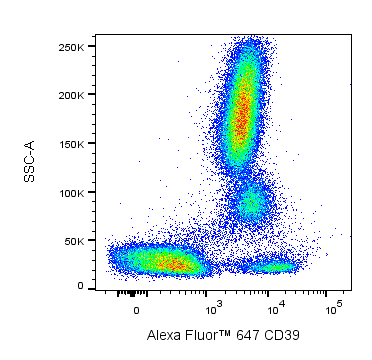 567055SSCtest.png